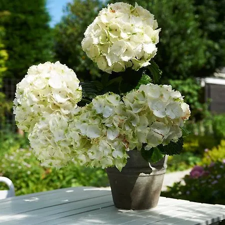 Kranenbergh Boutique Bergen