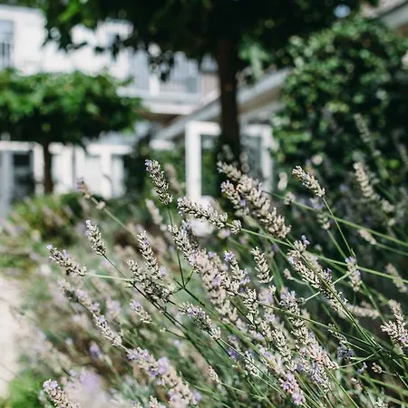 Kranenbergh Boutique Appartement Bergen