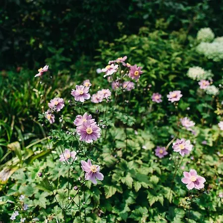 Kranenbergh Boutique *