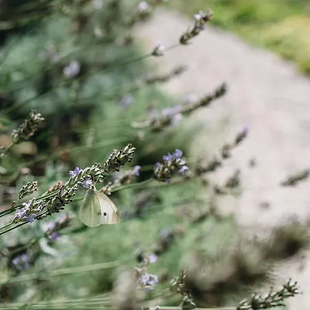 Kranenbergh Boutique Appartement Bergen