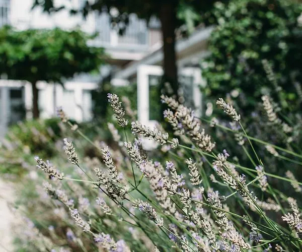 Kranenbergh Boutique Apartman Bergen