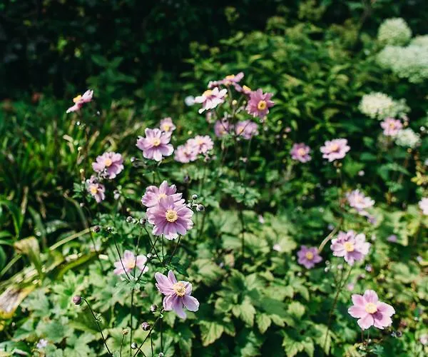 Kranenbergh Boutique *