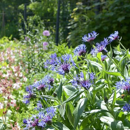 Kranenbergh Boutique Bergen